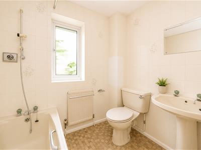 Picture 11